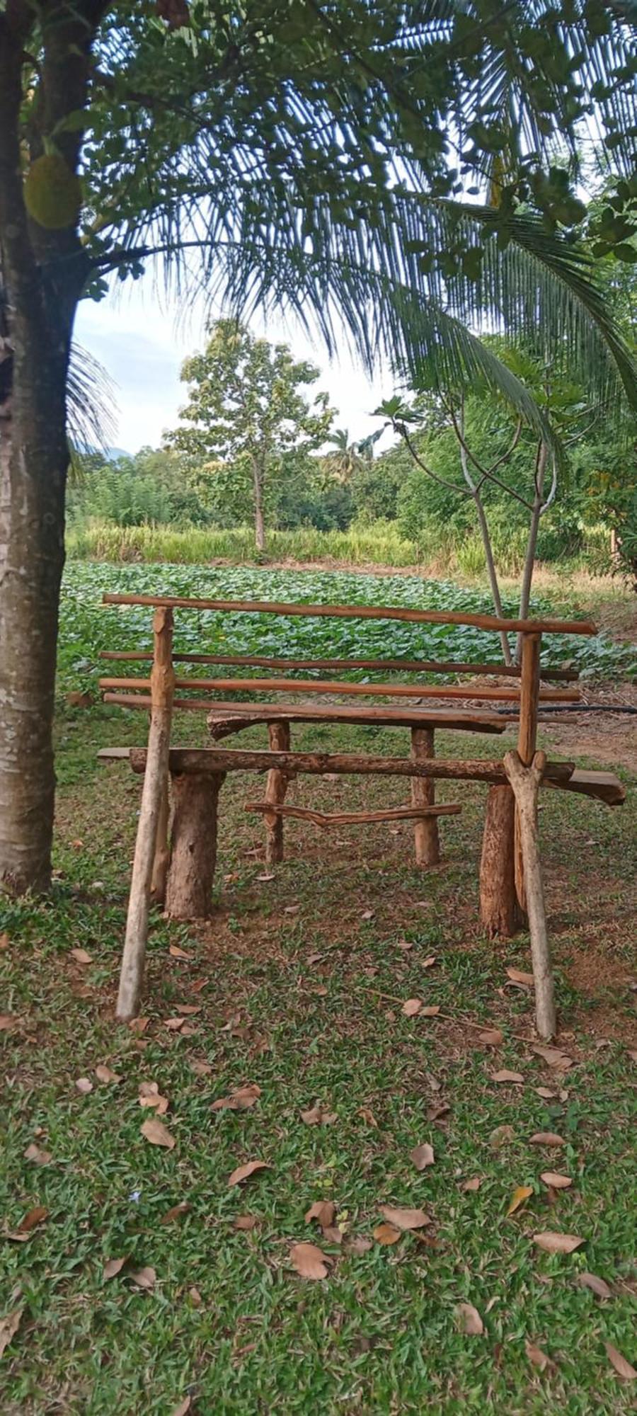 Gimhana Homestay Sigiriya Eksteriør billede